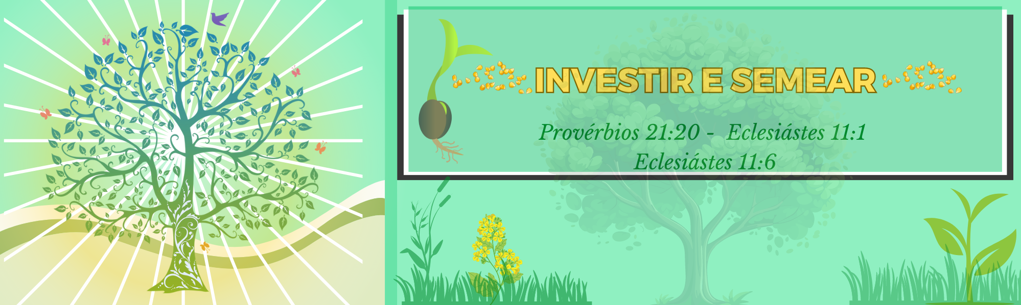 Investir é semear